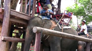 Artur and Galina on Elephant in Thailand