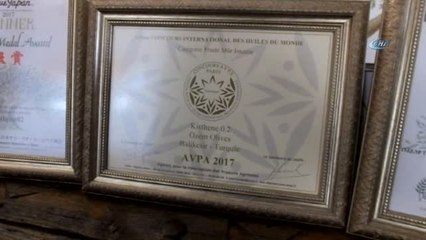 Gömeçli Zeytinyağ Üreticisi 7 Ülkeden 10 Ödül Birden Aldı