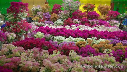 Taipei, Taiwan Travel Guide - Must-See Attractions