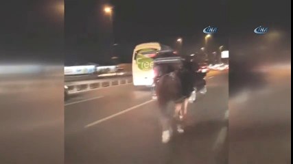 E-5'te Yürekleri Sızlatan Görüntü