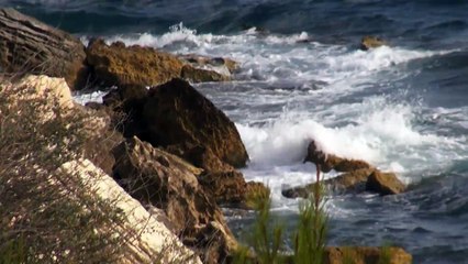 CEP - Pertinence politique de la vision chrétienne du monde - Claude Polin