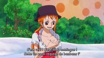 One Piece 791 Vostfr - ワンピース 791