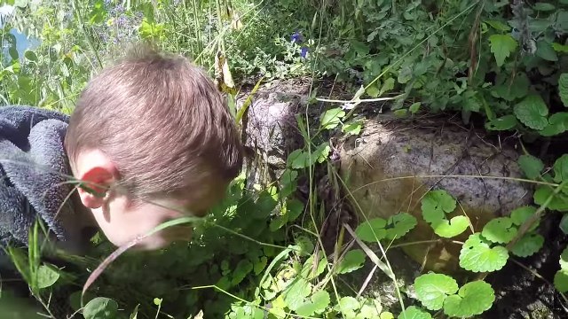 VLOG - On va à la Chasse aux Escargots !