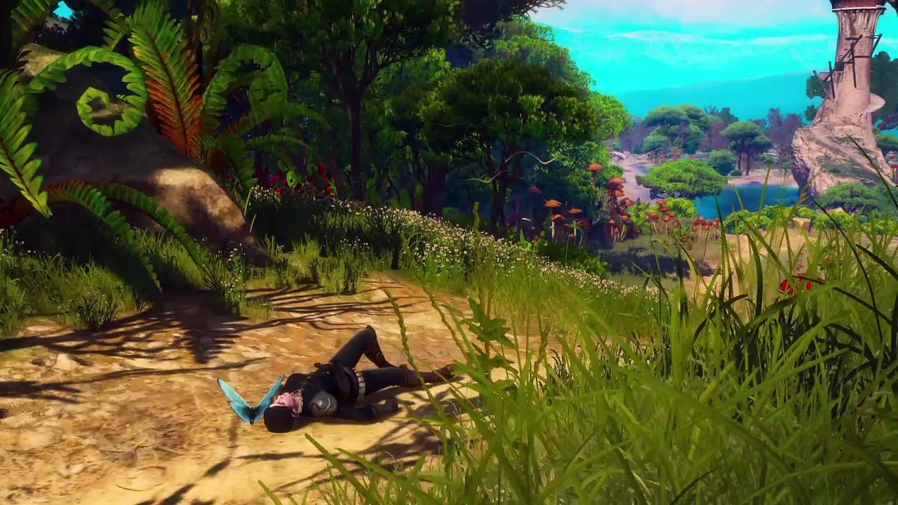 The Witcher 3: Wild Hunt_20170604115242