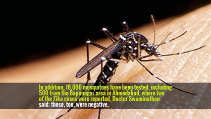 India Acknowledges Three Cases of Zika Virus
