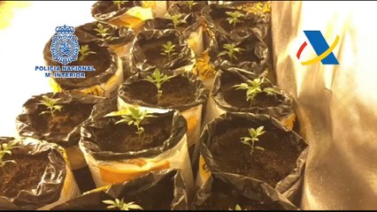 Introducían cocaína en España impregnada en la ropa y equipajes de viajeros