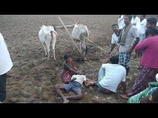 Heart Touching Video Mandya Farmer Dies While He Was Ploughing The Land