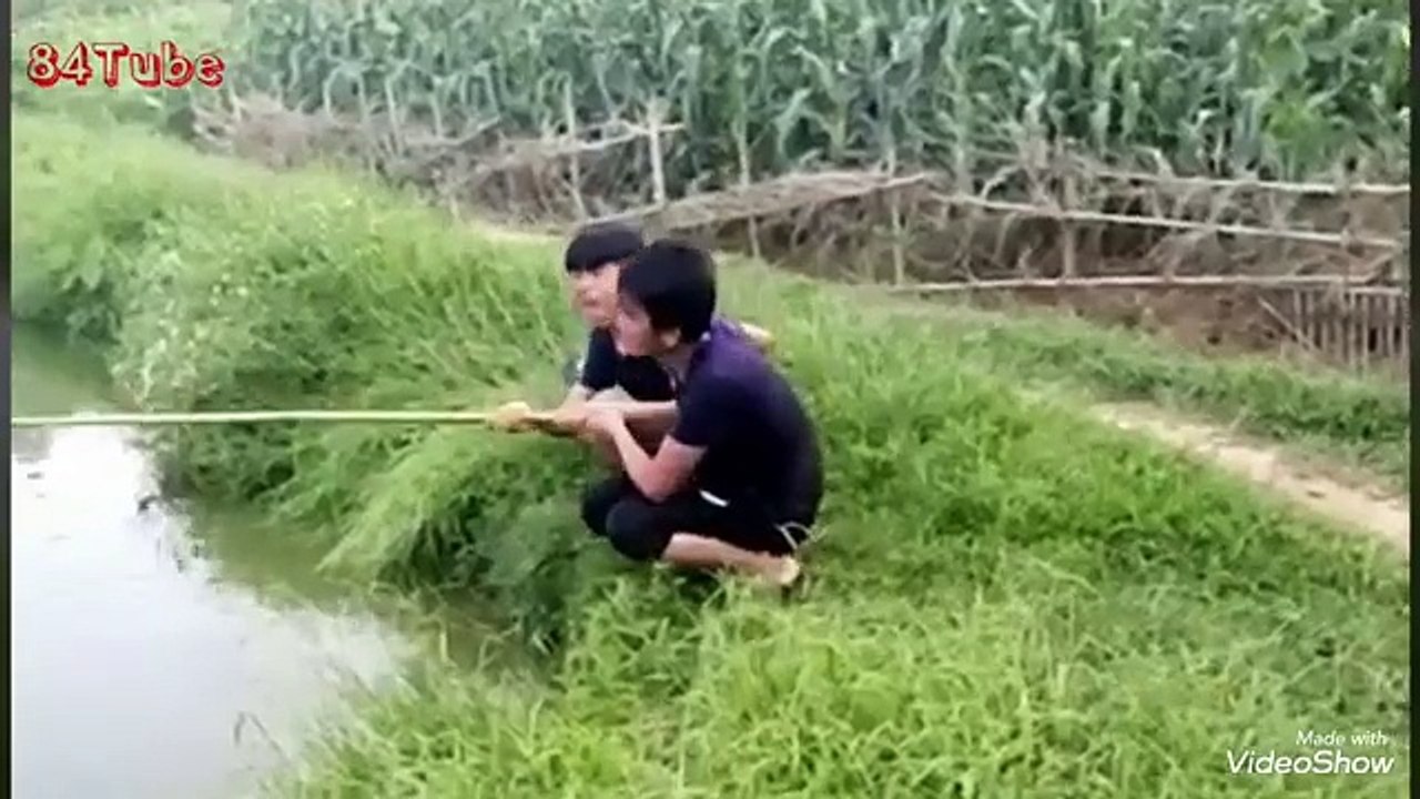 Prank troll