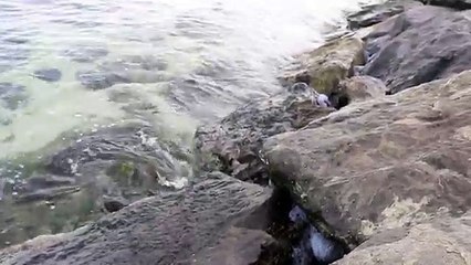 The Sea, The Sea water