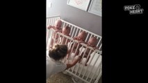 Four Adorable Babies Laugh in a Crib Together Video 2017 - Daily Heart Beat