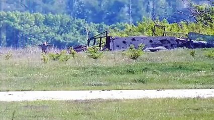 П'яний бойовик