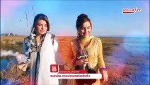 Pashto New Songs 2017 Album Khyber Hits Vol 29 - Musafar