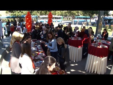 Report TV - Bashkia dhe KMSH panair,fitimet për të ndihmuar gratë e dhunuara