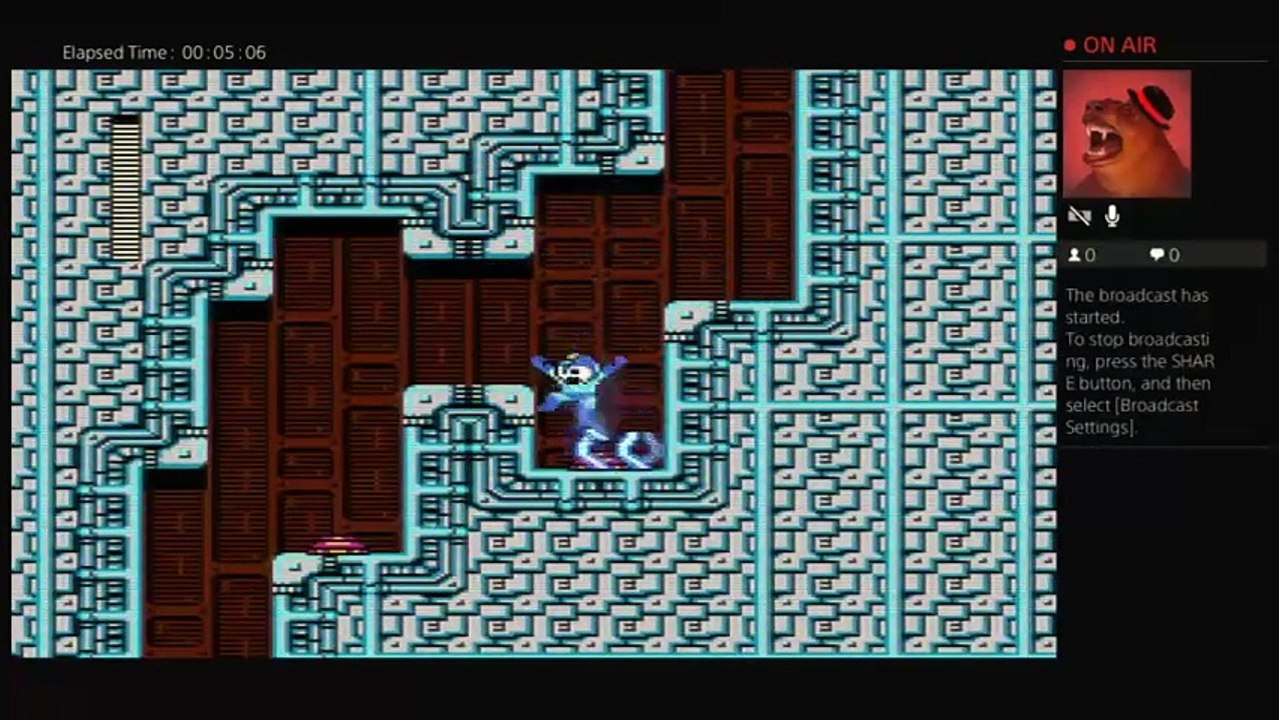 Megaman?!??! (8)