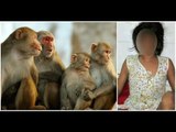 In Uttar Pradesh, Police Found An 8-Year-Old Girl Living With Monkeys