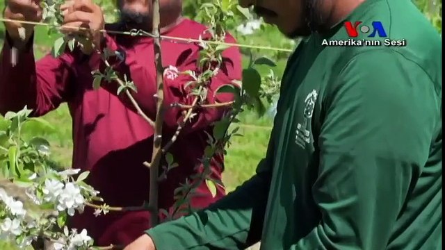 Göçmenlerin Sınırdışı Edilmesi Tarla Sahiplerini Tedirgin Ediyor