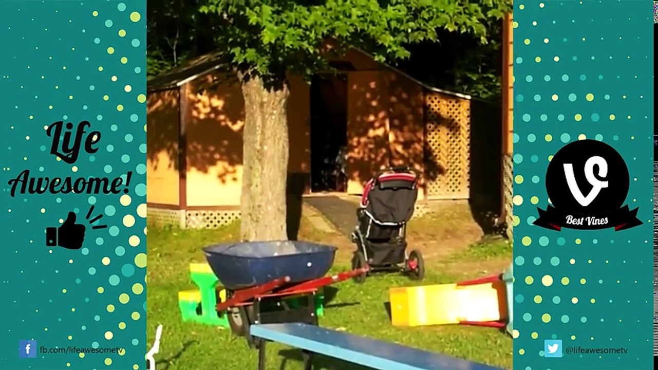 TRY NOT TO LAUGH or GRIN- AFV Funny Vines Fails Compilation 2017 - Best Vines 2017 by Life Awesome