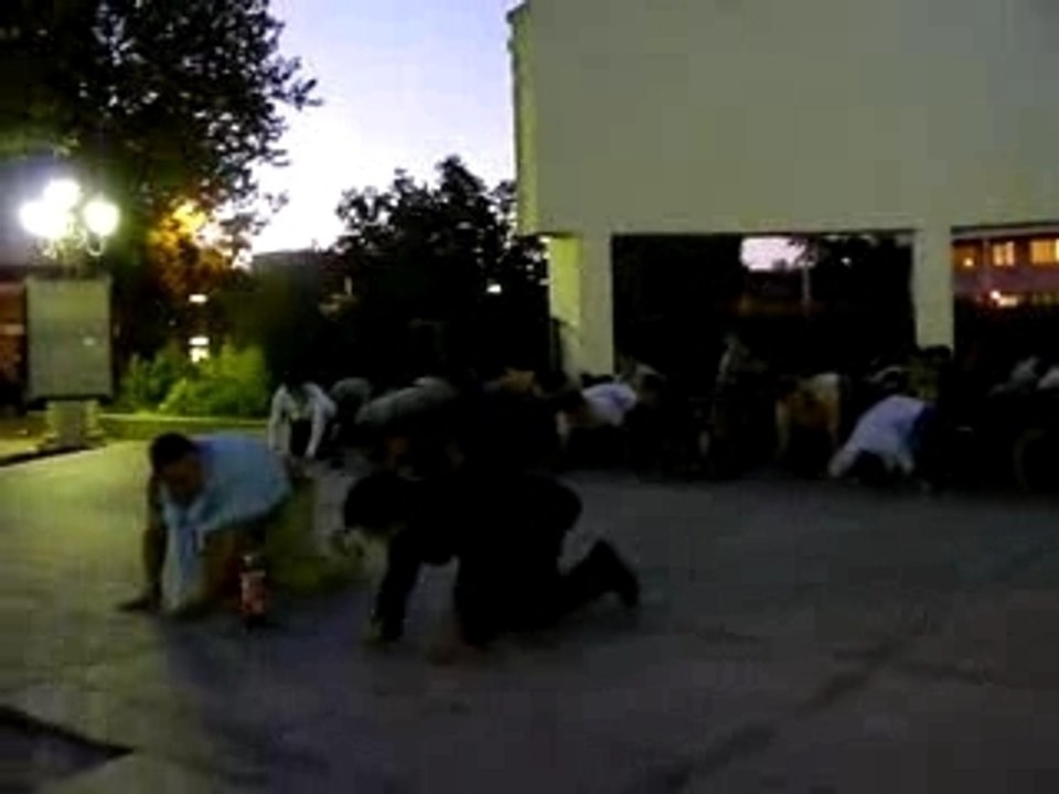 Intégration 1 - la tortue des sups 2