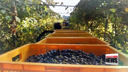 Senary Industry, a New Paradigm in Agriculture