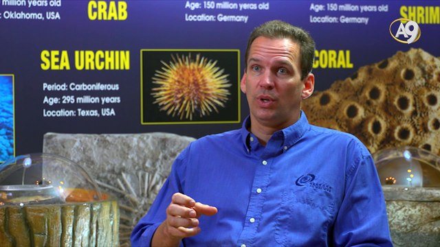 What Is Remarkable About Earth Is That All Of The Conditions That Have All The Different Amino Acids Interacting In These Very Complex Biomolecules