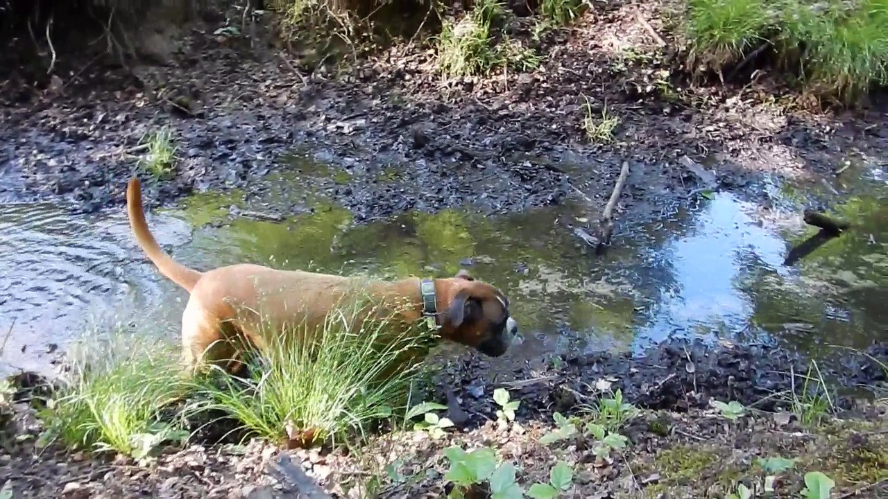 Beekhuizen, 4. June