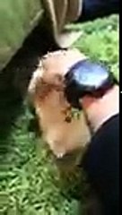 店橋憲一の気になる猫シリーズ2