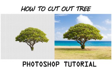 Cut out trees Photoshop tutorials