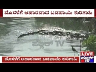 Yadgiri: Shepherd Who Went To A Pond To Drink Water Eaten By Crocodile