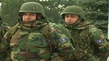 Ushtria e Kosovës, qeveria kosovare nuk tërhiqet - Top Channel Albania - News - Lajme