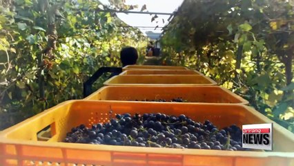 Senary Industry, a New Paradigm in Agriculture