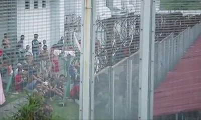 Napi Minum Air Keran