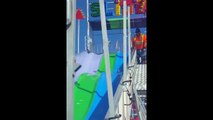Funny Cats Playing on Slides Compilation _ Fuwerwernny Kittens on Slide