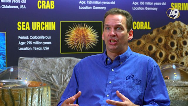 What can creationists do more together to tell people about the falsity of the evolutionary theory and the fact of creation?