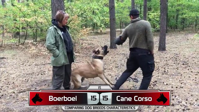 [ 구글에서 오피톡 검색 ] O P T O K 5 C O M 청주안마방 청주오피 청주휴게텔 청주립카페 천안 대전 세종 서산 당진 수원 공주시 진천 섹스