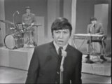 The animals - Don't Let Me Be Misunderstood