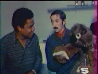 Les Jacksons à CharleRoi en Belgique