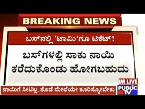 Pets Will Be Allowed On KSRTC Buses Now On, Full Ticket For Big Dogs, Half For Puppies