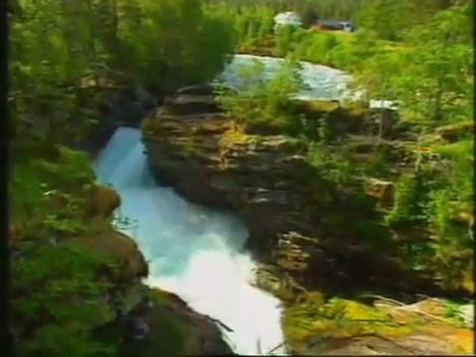 Jesus yo confio en no importa lo que mis ojos vean o mi cuerpo cienta o lo que escuche tu tienes la ultima palabra y llo confio en ti ..