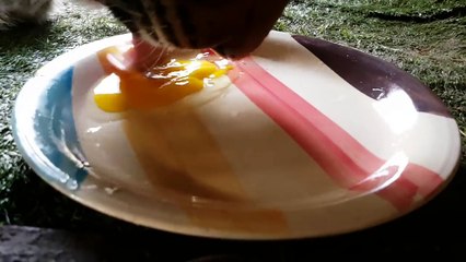 06.OK , one more egg!