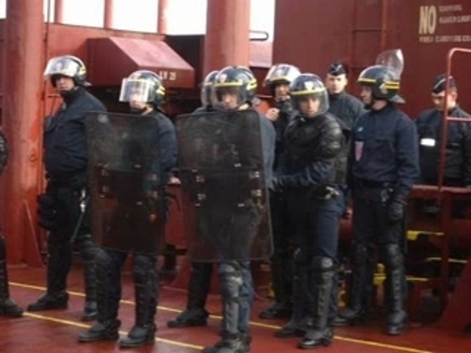 LOFOFORA MEMOIRE DE SINGES TORTURE