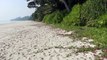 India's Best Radhanagar Beach Havelock Islands in 4K - Andaman and Nicobar Islands