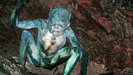 Unknown Creatures caught o a