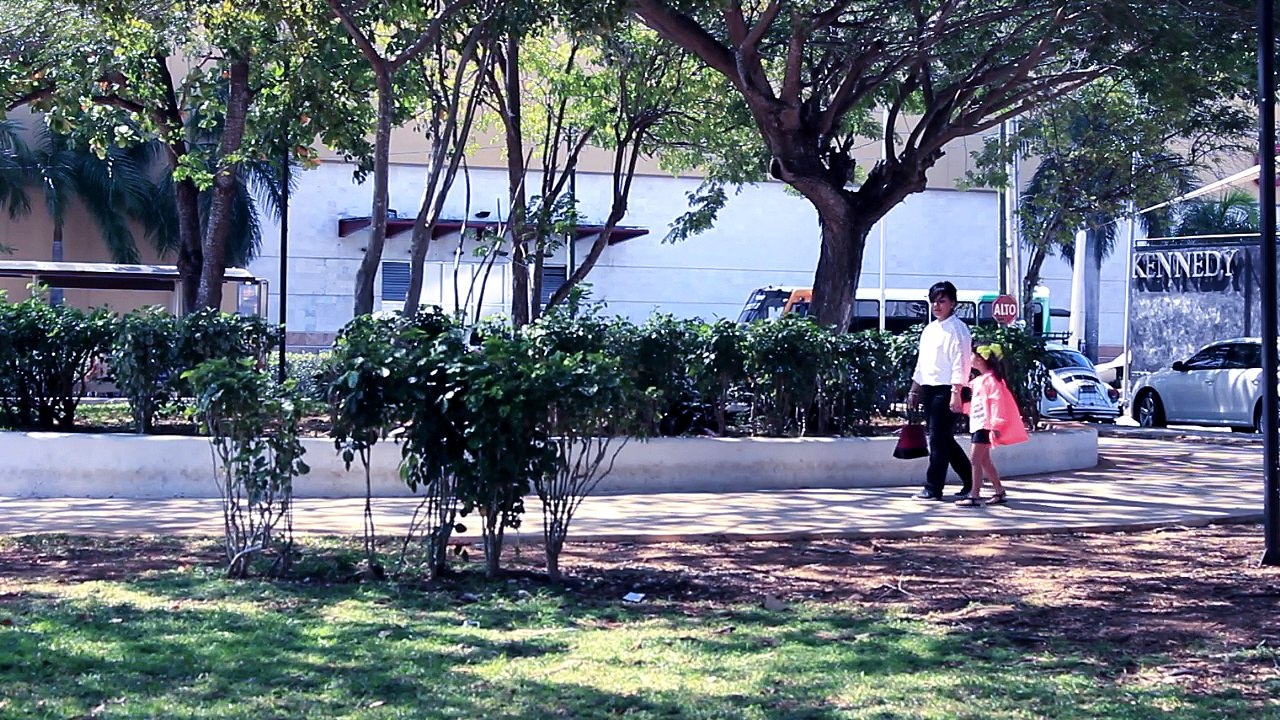 Serendipia Producciones - Olivia