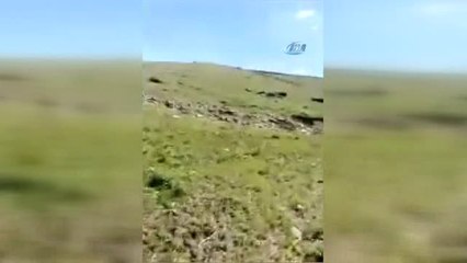 Boz Ayı Kendisi Yakından Görüntülemek İsteyen Vatandaştan Böyle Kaçtı