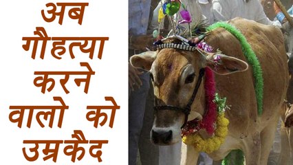 Gujarat - Cow slaughter now punishable with life term| वनइंडिया हिंदी