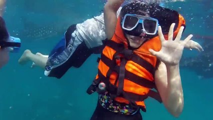 My family crashed my Honeymoon! Swim with the Whale Sharks in Cebu!