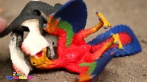 Videos de Dinosaurios para niños Dinosaurios de Juguete Microraptor Schleich Dinosa