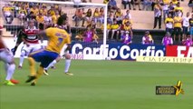 86.Criciúma 1 x 2 Santa Cruz - Melhores Momentos & Gols - Brasileirão Série B 2017