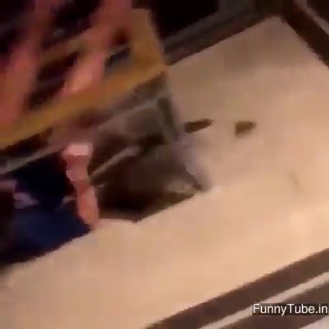 Iss Larki Ki Herkat Ne Saray Khandan Ko Sharminda Ker Dia / BACHAY NAA DEKHAIN 18+