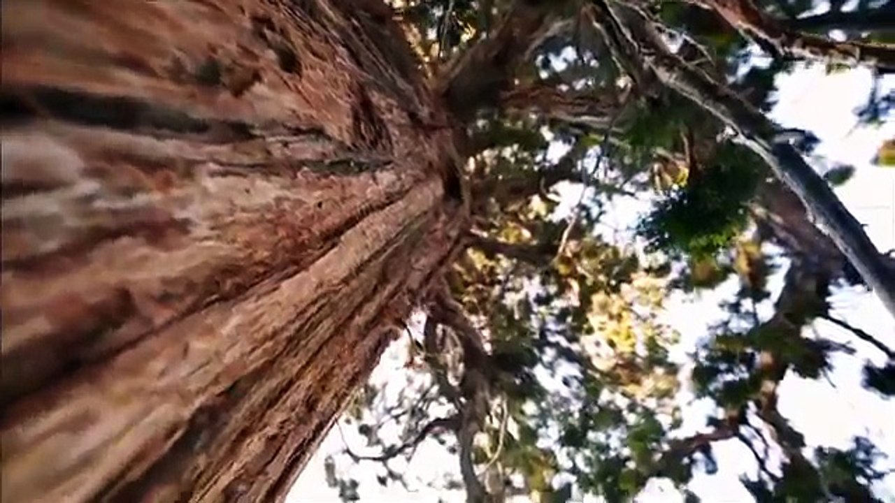 366.Merrell Grassbow Sport Women